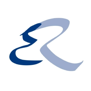 logo Eisenmann & Ravestijn Advocaten